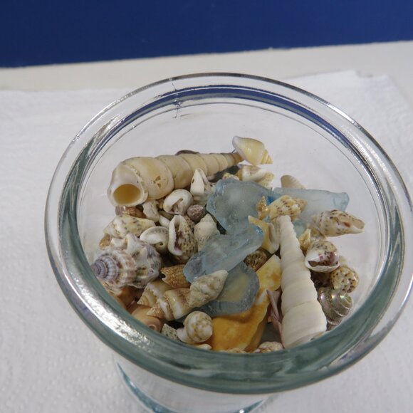 REAL sea shells in a New Glass Jar w seal & lid 5.75" tall (1+ pounds) - Picture 7 of 12